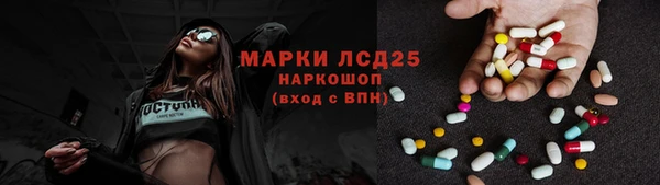 гашик Сясьстрой