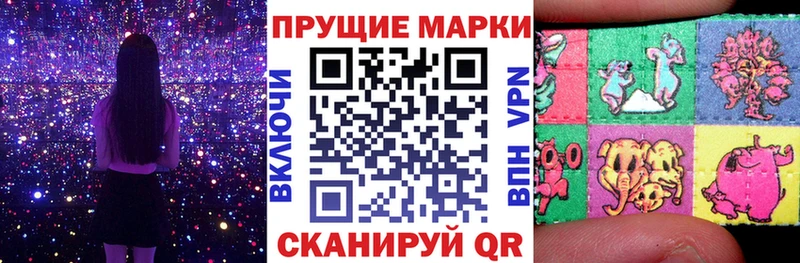 как найти   Светлогорск  Марки N-bome 1500мкг 