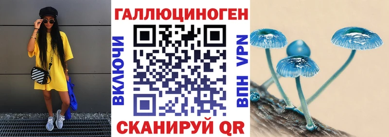 где найти наркотики МЕГА маркетплейс Псилоцибиновые грибы Magic Shrooms Светлогорск
