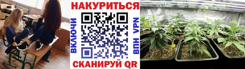 Марихуана ГИДРОПОН  купить   Светлогорск 